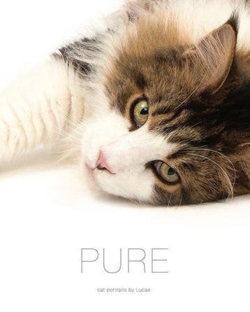 Pure 9789082302400 Lucas De Boeck, Verzenden, Zo goed als nieuw, Lucas De Boeck