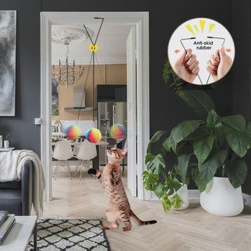Interactief Katten Speeltje met Kleurrijke Ballen - Deurhang, Verzenden, Nieuw