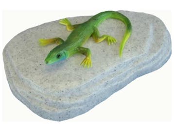 Hagedis op steen, Verzenden, Nieuw