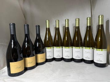 3x Winkl Kellerei Cantina Terlan Winkl ; 9 x Cantina Valle, Nieuw