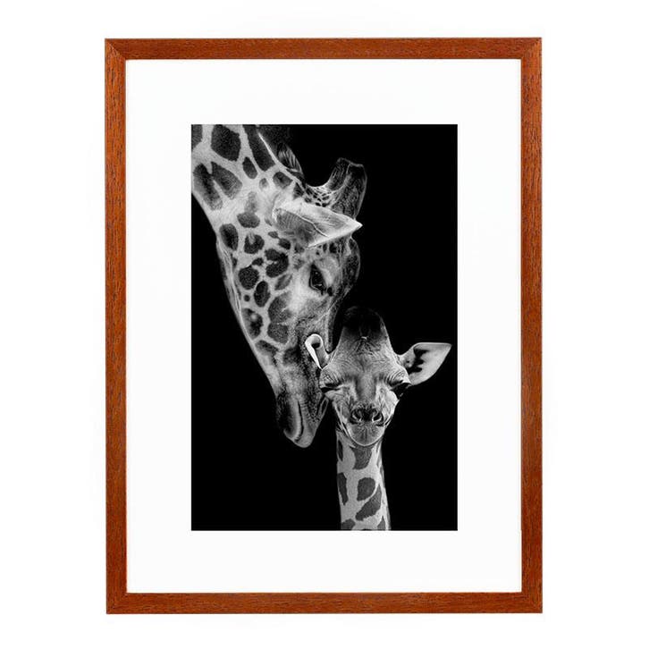 Wissellijst 50x60 cm Kersen, Huis en Inrichting, Woonaccessoires | Lijsten, Ophalen of Verzenden