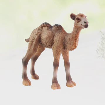 Realistisch Dromedaris Kameel Figuur - Premium Kwaliteit Spe, Dieren en Toebehoren