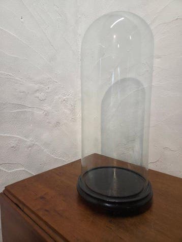 Globe - stolp - glas - 1901-1920 - Grote Antieke Ronde stolp