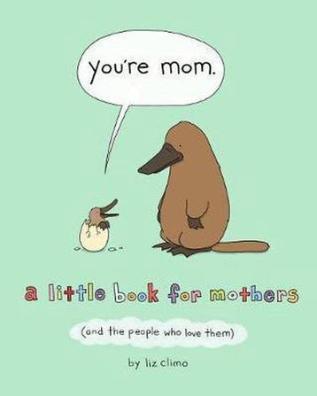 9781250228109 Youre Mom A Little Book for Mothers and th..., Boeken, Verzenden, Zo goed als nieuw, Liz Climo
