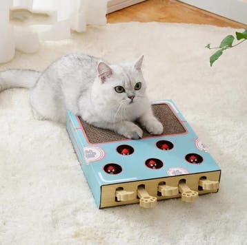 3-in-1 Katten Speelgoed –Krabkussen, Whack-a-Mole en Rustple, Verzenden, Nieuw