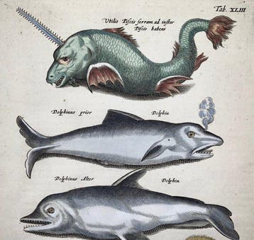 Matthäus Merian (1593-1650) - hand coloured folio: Sea