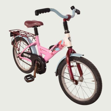 Alpina kinderfiets 16 inch, Fietsen en Brommers, Fietsen | Kinderfietsjes, Ophalen of Verzenden, Gebruikt, Alpina