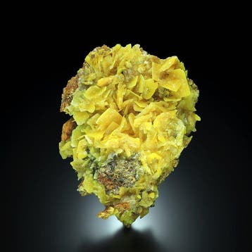250 g Oude vondst citroengele WULFENITE uit Touissit-Bou,, Verzamelen