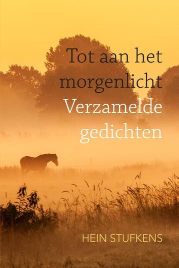 Tot Aan Het Morgenlicht | Hein Stufkens | Nieuw, Ophalen of Verzenden, Nieuw, Hein Stufkens