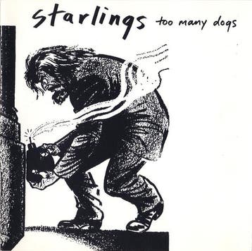 cd - Starlings - Too Many Dogs, Verzenden, Zo goed als nieuw