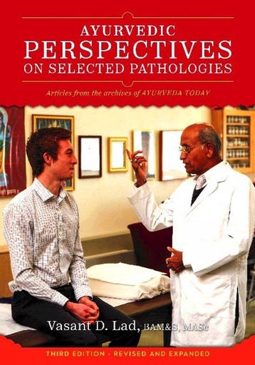 9781883725242 Ayurvedic Perspectives on Selected Pathologies, Verzenden, Nieuw, Vasant Lad