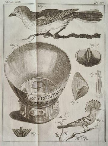 Noel Chomel en Jacques Alexandre de Chalmot - Vervolg op