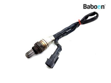 Lambda Sonde Harley-Davidson FLSTC Softail Heritage Classic, Verzenden, Gebruikt