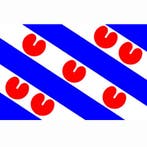 Friese vlag, vlag provincie Friesland, Nieuw