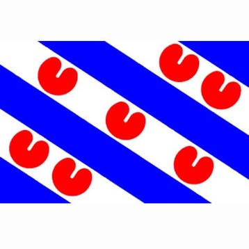Friese vlag, vlag provincie Friesland, Nieuw