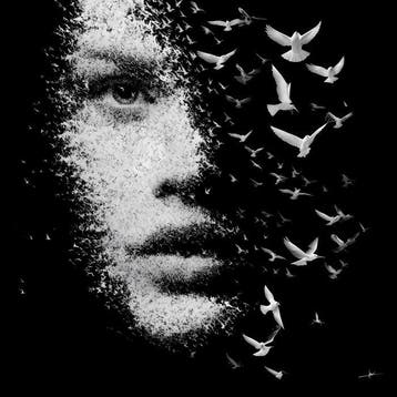 David Law - The Flight II