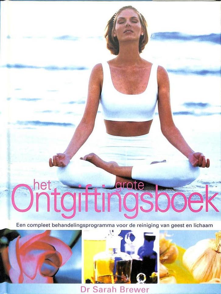 Het grote ontgiftingsboek 9789055017812 S. Brewer, Boeken, Gezondheid, Dieet en Voeding, Zo goed als nieuw, Verzenden
