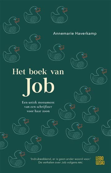 Het boek van Job 9789048856114 Annemarie Haverkamp, Verzenden, Zo goed als nieuw, Annemarie Haverkamp