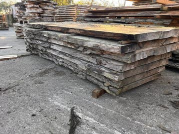 7X Boomstambladen, complete partij 480,- REF 802, Doe-het-zelf en Verbouw, Nieuw, Ophalen of Verzenden, 250 tot 300 cm, Plank
