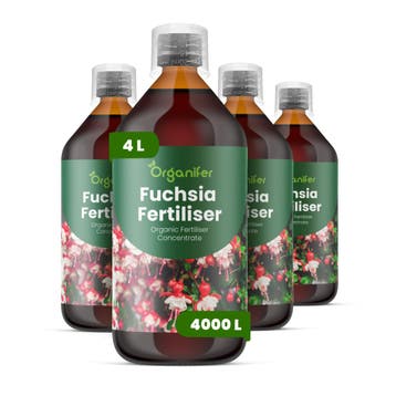 Fuchsia vloeibare meststof - Set 4x1 liter, Verzenden, Mest