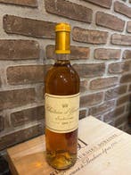 2004 Château dYquem - Sauternes 1er Cru Supérieur - 1 Fles, Nieuw