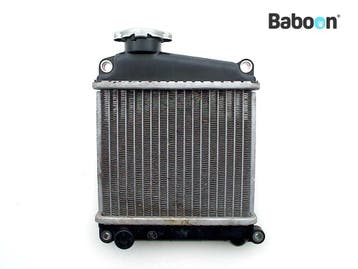 Radiateur Honda NHX 110 Lead 2008-2012 (NHX110 JF19), Motoren, Verzenden, Gebruikt