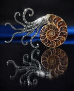 Geen reserveprijs Prachtige ammoniet hanger/broche