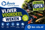 VIJVERPLANTEN GROOT ASSORTIMENT - Bij Bovis Twente, Ophalen, Nieuw, Overige typen