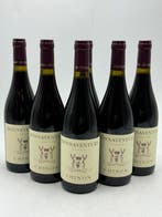 2024 Chateau de Coulaine Bonnaventure - Chinon - 6 Flessen, Nieuw