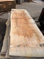 5X Boomstambladen, esdoorn, complete partij 620,- REF 787A, Nieuw, Ophalen of Verzenden, 200 tot 250 cm, Plank