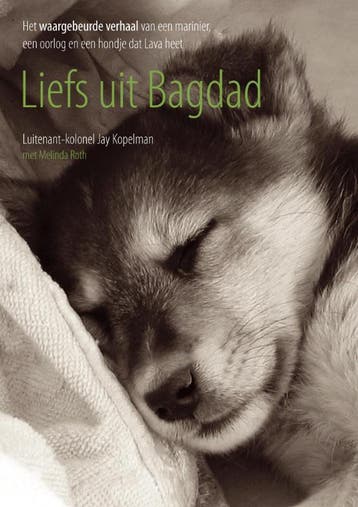 Liefs uit Bagdad - J. Kopelman 9789047500162, Verzenden, Gelezen, J. Kopelman