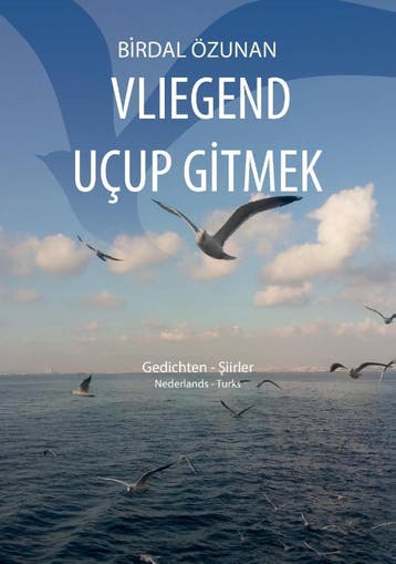 Vliegend Uçup Gitmek | Birdal Özunan | Nieuw, Ophalen of Verzenden, Nieuw, Birdal Özunan