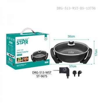 Winning Star St-9675 Elektrische Hapjespan Met Deksel, Ophalen of Verzenden, Nieuw