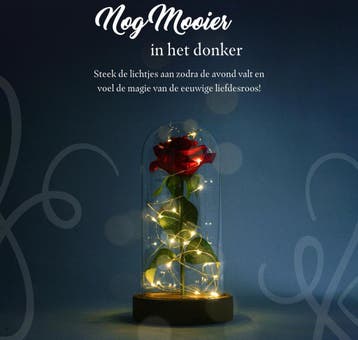 Nonchi Roos in Glazen Stolp - LED verlichting - Valentijn -, Ophalen of Verzenden, Zo goed als nieuw