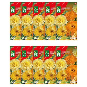 Bloemzaden goudsbloem | VT | 10 stuks, Verzenden