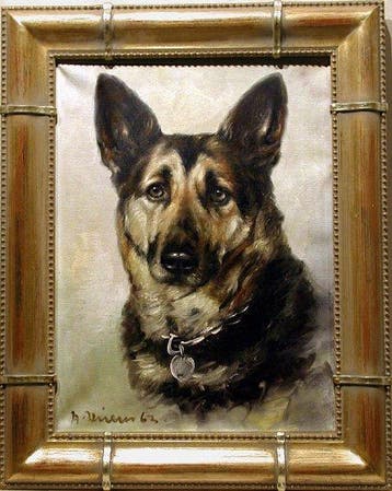 Andrea Hillen (Listed) - Portrait of German shepherd dog