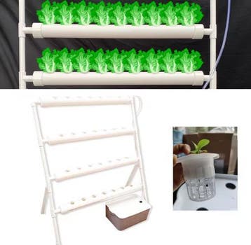 Hydrocultuur Grow Kit 36 Gaten Aardloos DWC Systeem Pomp, Boeken, Verzenden, Nieuw