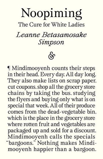 9781916751354 Noopiming Leanne Betasamosake Simpson, Verzenden, Nieuw, Leanne Betasamosake Simpson