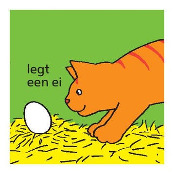 Dikkie Dik Babyboekje / Dikkie Dik 9789025768829 Jet Boeke, Verzenden, Gelezen, Jet Boeke