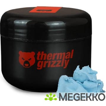 Thermal Grizzly Putty Advance 100g, Verzenden, Nieuw