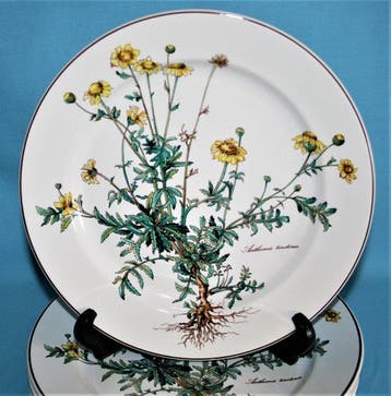 Villeroy & Boch - Bord (6) - Botanica - Vitro porselein
