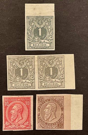 België 1884/1891 - Liggende Leeuw + Leopold II : Selectie, Gestempeld