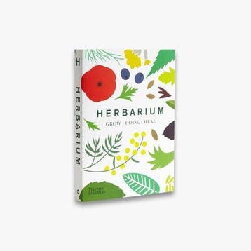 9780500297018 Herbarium Caz Hildebrand, Boeken, Verzenden, Nieuw, Caz Hildebrand