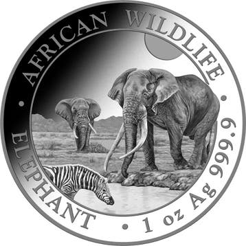Somalische Olifant 1 oz 2026, Verzenden, Overige landen, Losse munt, Zilver