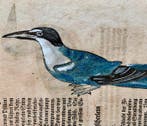 Conrad Gesner - Vogelbuch - 1600, Antiek en Kunst, Antiek | Boeken en Bijbels