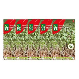 Tuinkers zaad | VT | 5 stuks, Verzenden