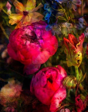 Viet Ha Tran - Garden of Hope I