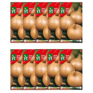 Uienzaad | VT | 10 stuks (Witte ui), Tuin en Terras, Bloembollen en Zaden, Verzenden
