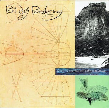 LP gebruikt - Poi Dog Pondering - Wishing Like A Mountain..., Verzenden, Zo goed als nieuw, Overige formaten