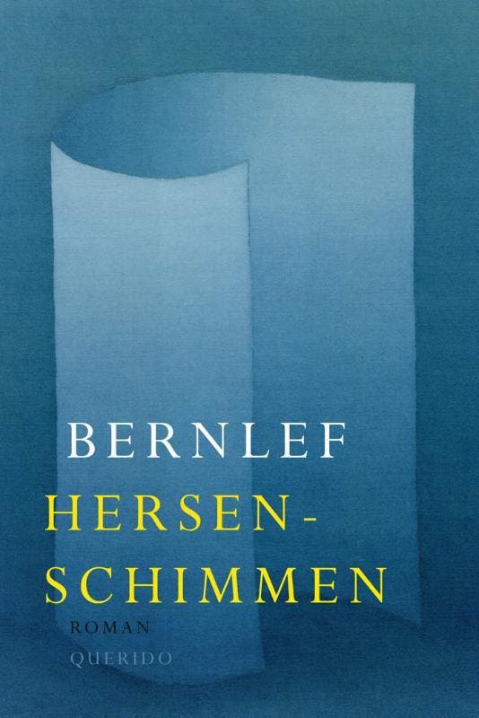 Hersenschimmen - Bernlef 9789021470924, Boeken, Literatuur, Zo goed als nieuw, Verzenden